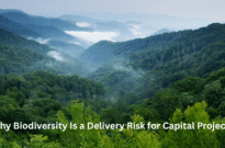 Monique Chelin biodiversity nature risk capital projects Australia