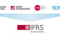 monique chelin ifrs sustainability disclosure