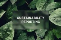 monique chelin sustainability reporting australia 2026