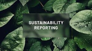 monique chelin sustainability reporting australia 2026
